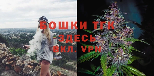 индика Алексеевка